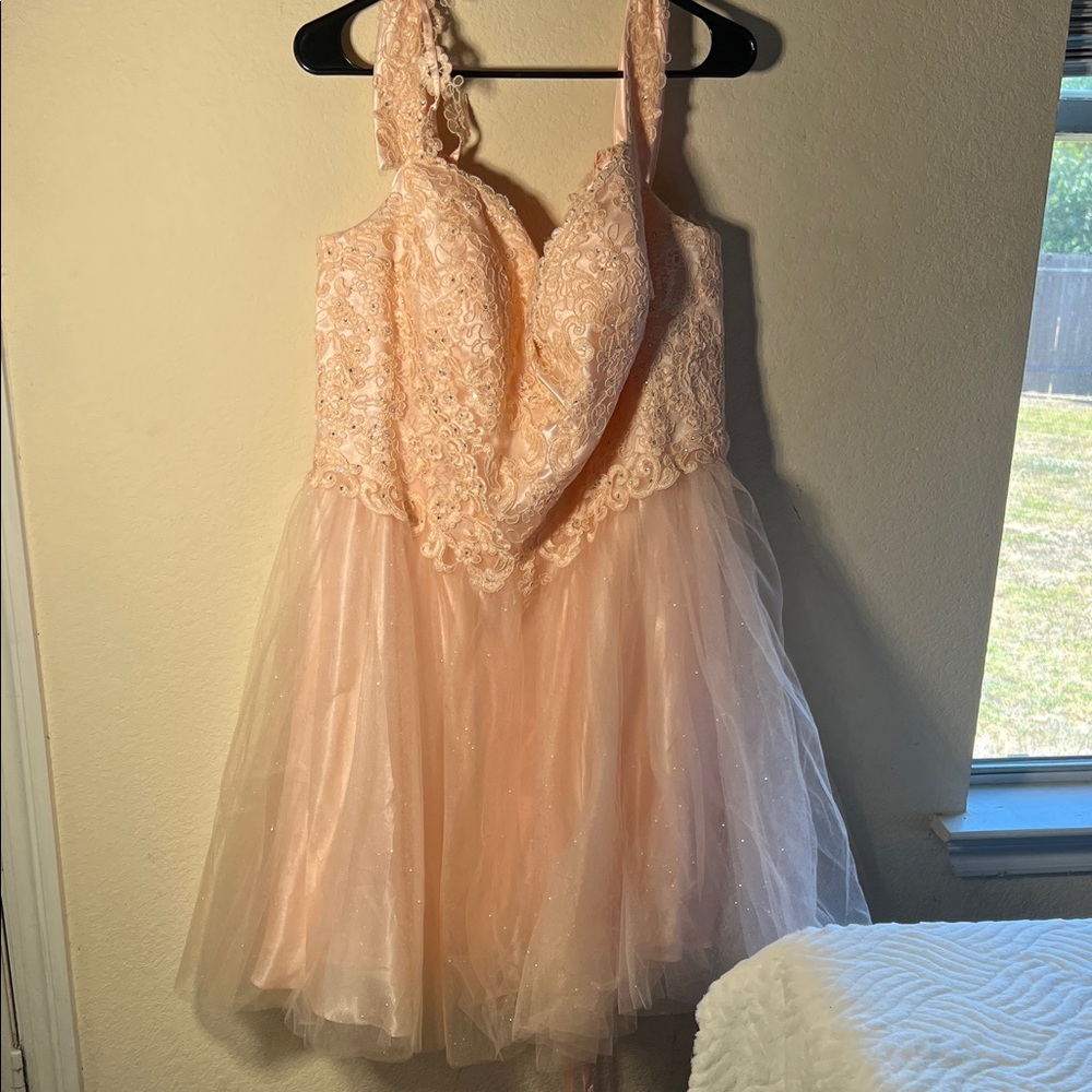 May Queen Blush Lace and Tulle Prom Dress